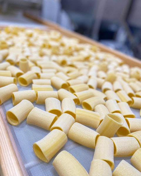 Bucatini Pasta, Bronze Die Cut Artisan Pasta from Italy, 1.1 lbs (500 g),  Homemade Italian Pasta, 100% Durum Semolina. Marulo Pasta di Torre