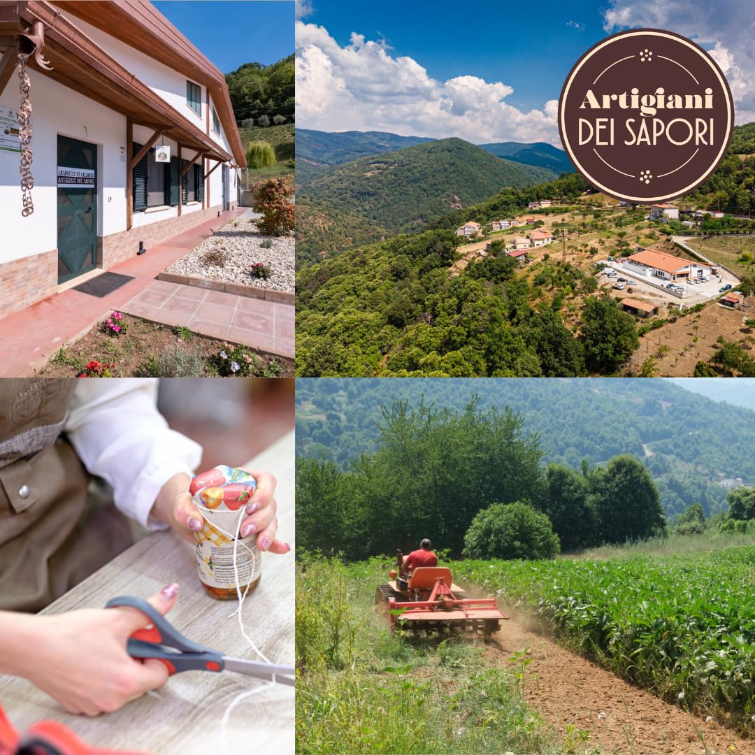 Collage showing Artigiani dei Sapori’s small farm in southern Italy: a farmhouse, panoramic view of the hillside farm, a worker bottling sauces, and traditional field cultivation.
