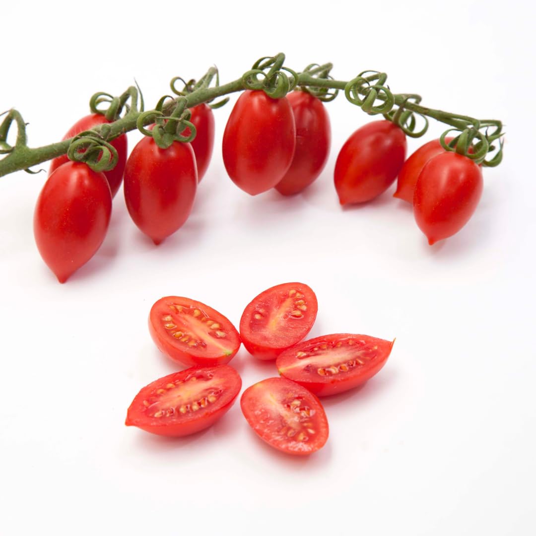 Cluster of fresh red Datterino tomatoes on the vine with several tomatoes sliced in half, showing their juicy interior and seeds, displayed on a clean white background.
