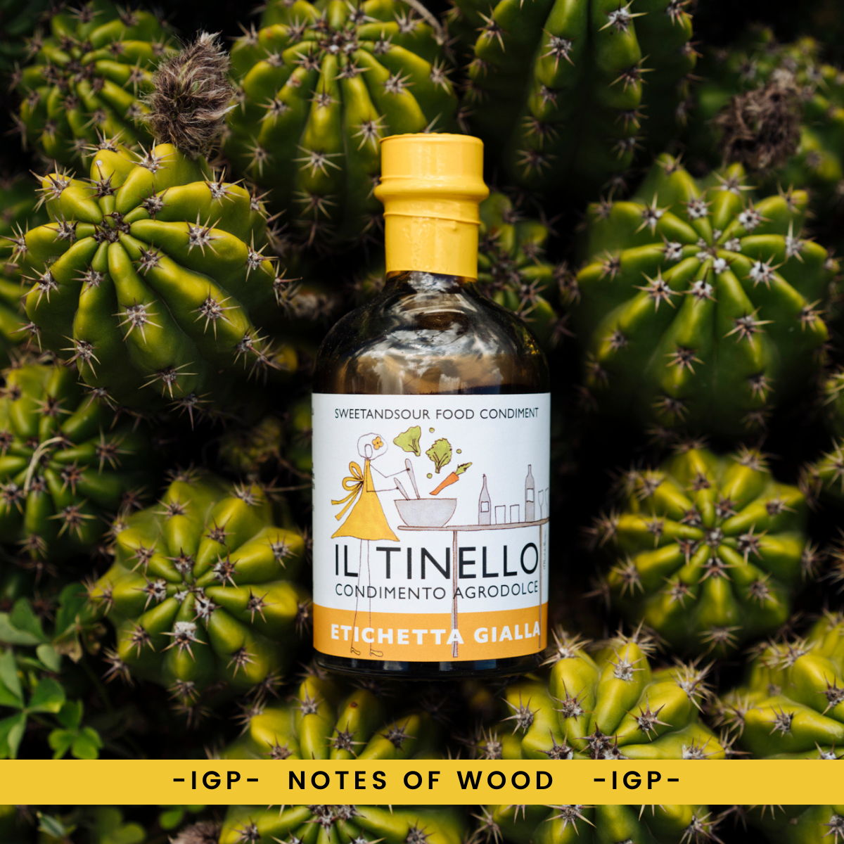 IL TINELLO, Aceto Balsamico di Modena IGP, Balsamic Vinegar, Yellow Label, (8.5 fl oz) 250ml
