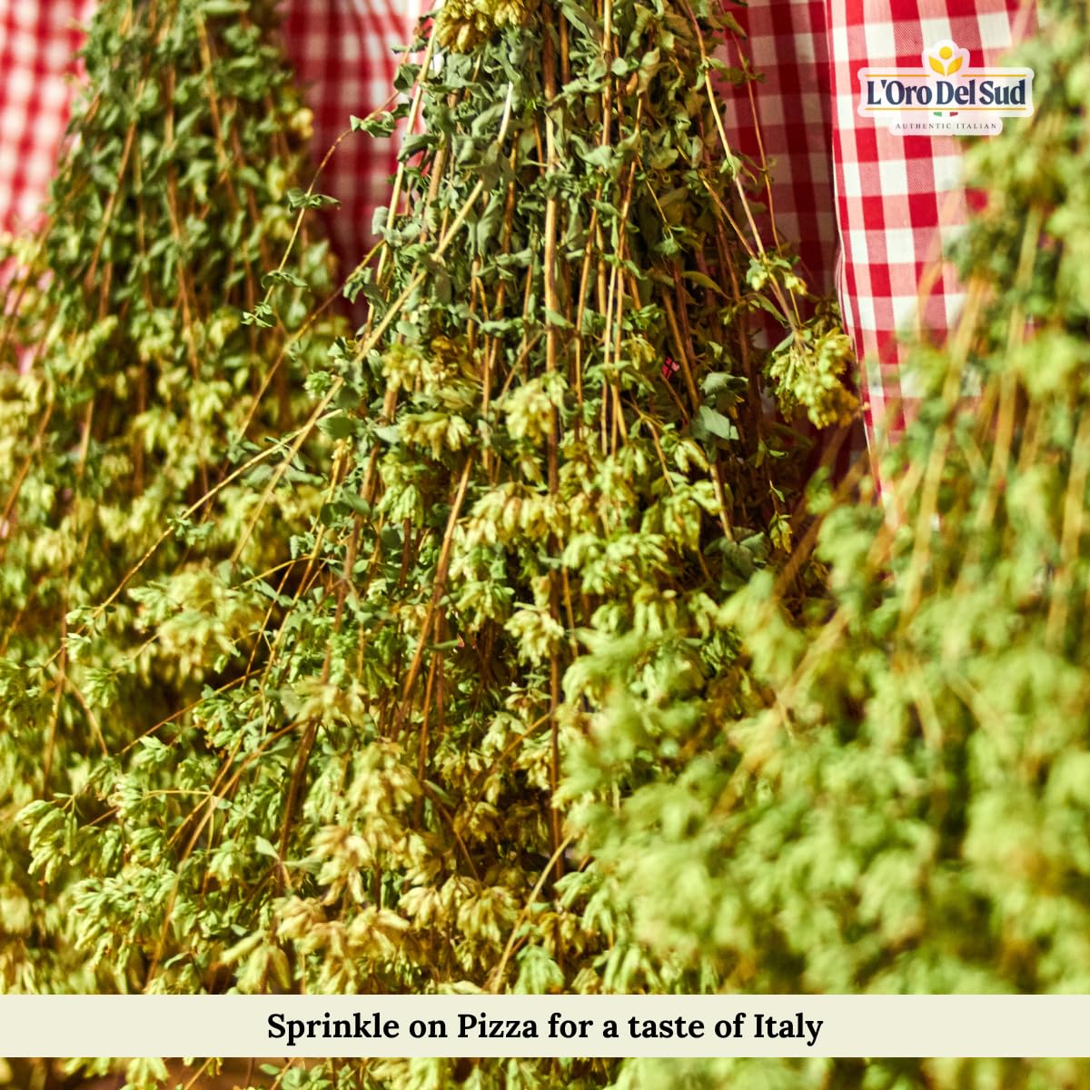 Authentic dried Sicilian oregano bunches hanging to dry with traditional red checkered background — pure aroma for Italian cooking