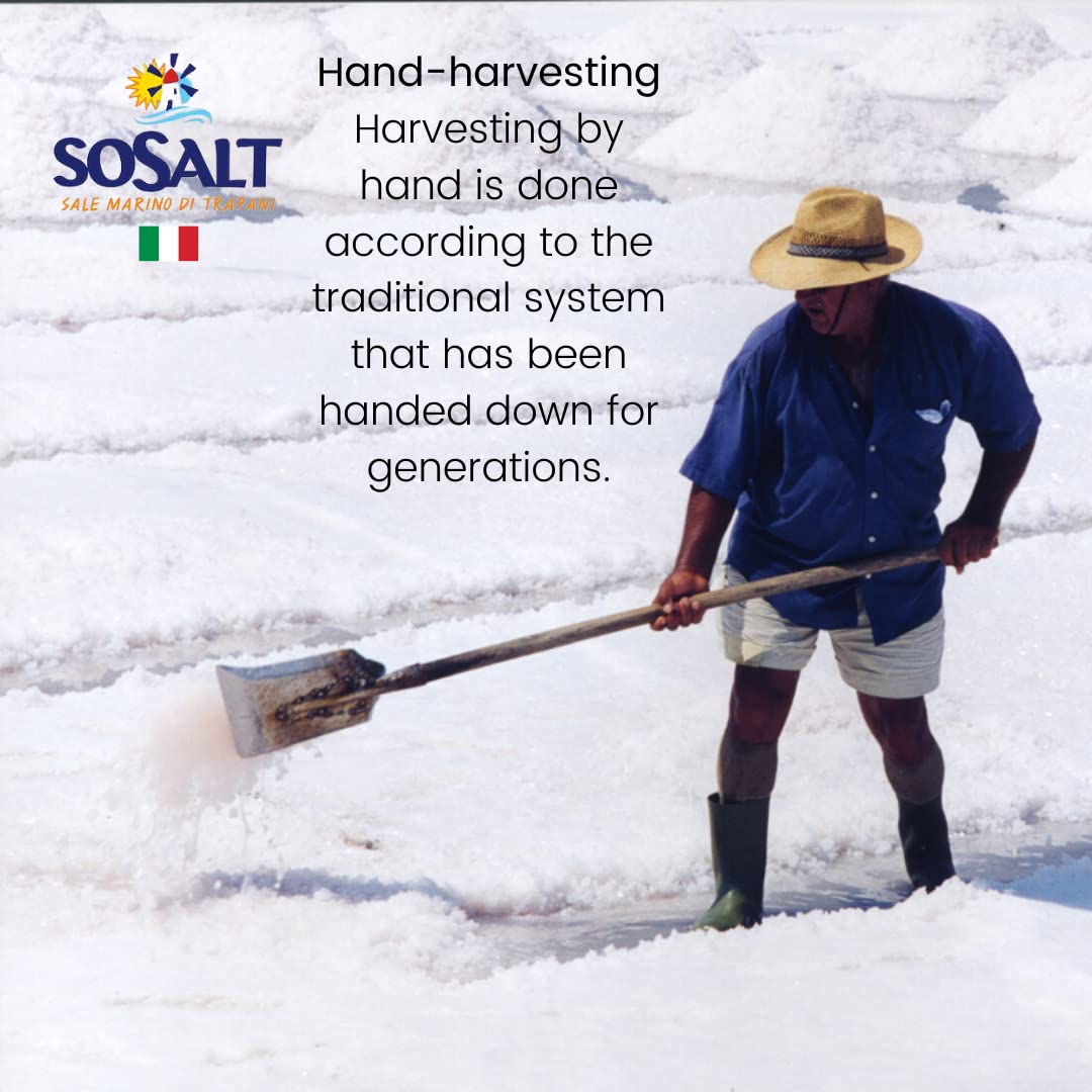 Worker hand-harvesting sea salt in the Trapani salt pans, using a shovel as part of the traditional method passed down through generations. The process preserves the artisanal quality of SoSalt Mediterranean sea salt.