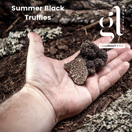 Versatile Culinary Ingredient: Elevate your culinary creations with ease using our Black Summer Truffle Carpaccio. These thinly sliced truffles are a versatile ingredient, perfect for enhancing salads, pasta, risottos, pizzas, and more. Unleash your creativity and bring a touch of gourmet magic to your dishes.