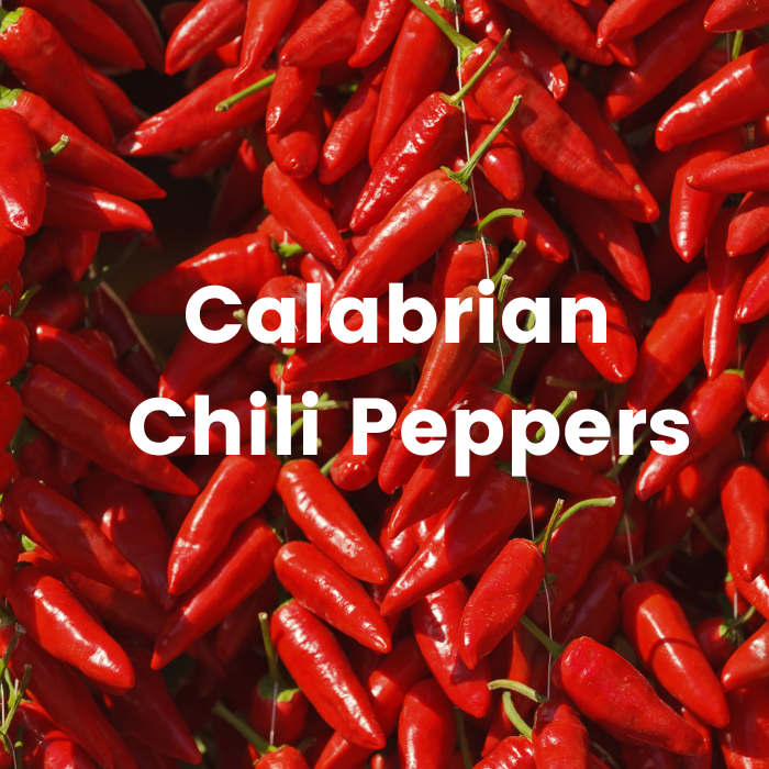 Save on Calabrian Chili Peppers at WholeslaeItalianFood.com