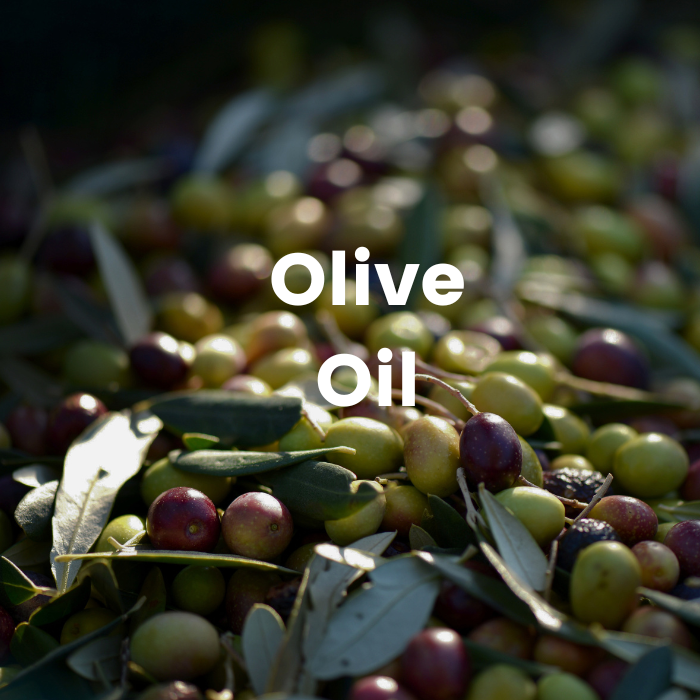 Olive Oil