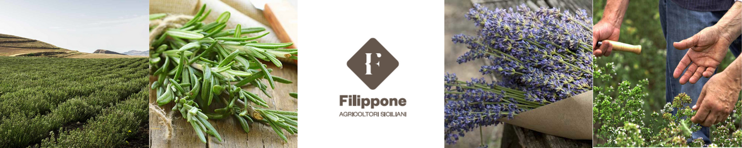 Filippone Organic Herbs