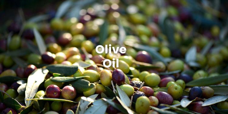 Olives Oils & Balsamic Vinegar