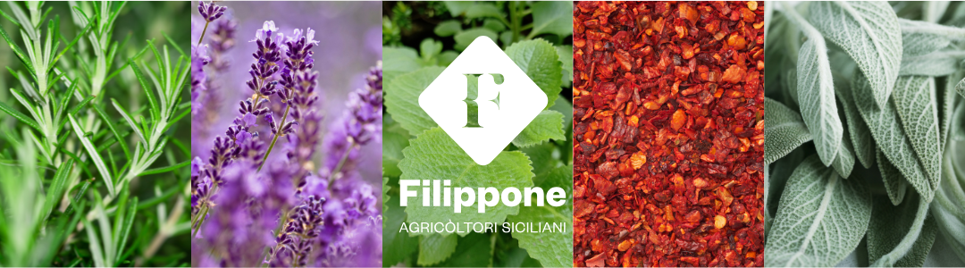 Filippone