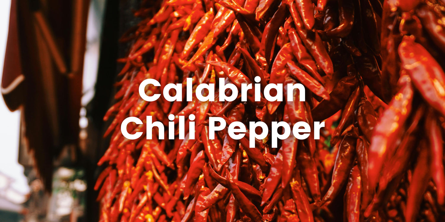 Save on Calabrian Chili Peppers at WholeslaeItalianFood.com