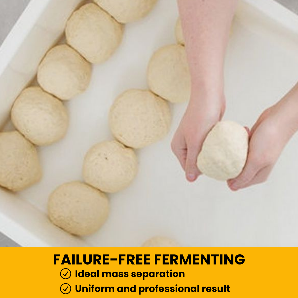 L'Oro Del Sud Dough Proofing Box (2 Pack + 1 lid), White, x (16 inch x 12 inch x 4 inch)