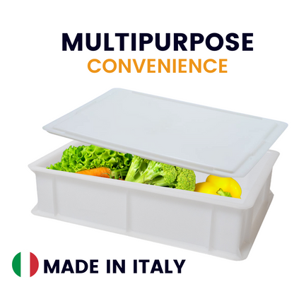 L'Oro Del Sud Dough Proofing Box (2 Pack + 1 lid), White, x (16 inch x 12 inch x 4 inch)