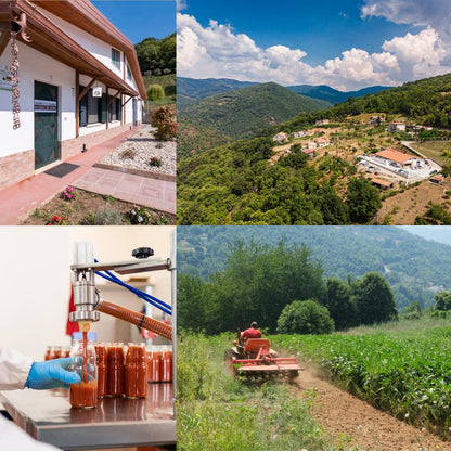 Collage showing Artigiani dei Sapori’s small farm in southern Italy: a farmhouse, panoramic view of the hillside farm, a worker bottling sauces, and traditional field cultivation.