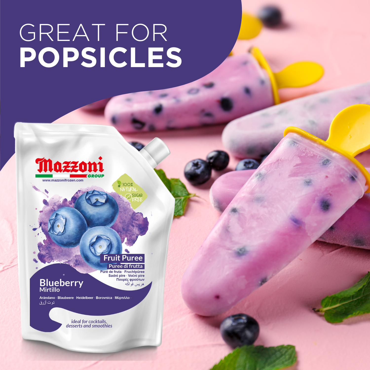 Mazzoni, Blueberry Puree, 100% Pure Blueberries, Just Fruit, No Sugar Added 2.2 lb pouch