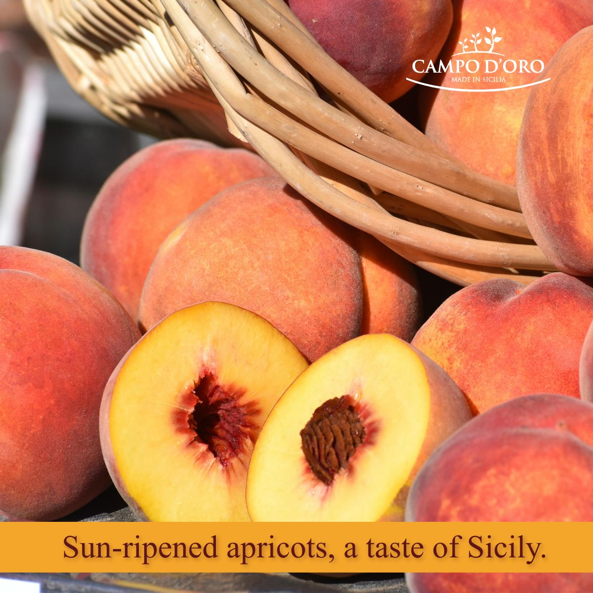 Basket of apricots with a halved apricot showing the interior, branded 'Campo d'Oro'.