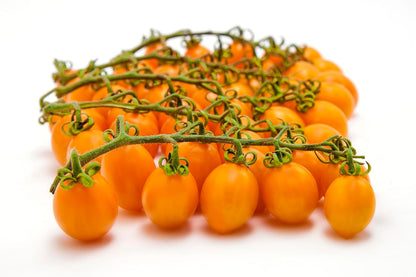Cluster of fresh yellow Datterino tomatoes on the vine, showcasing their vibrant golden color, smooth skin, and natural ripeness.