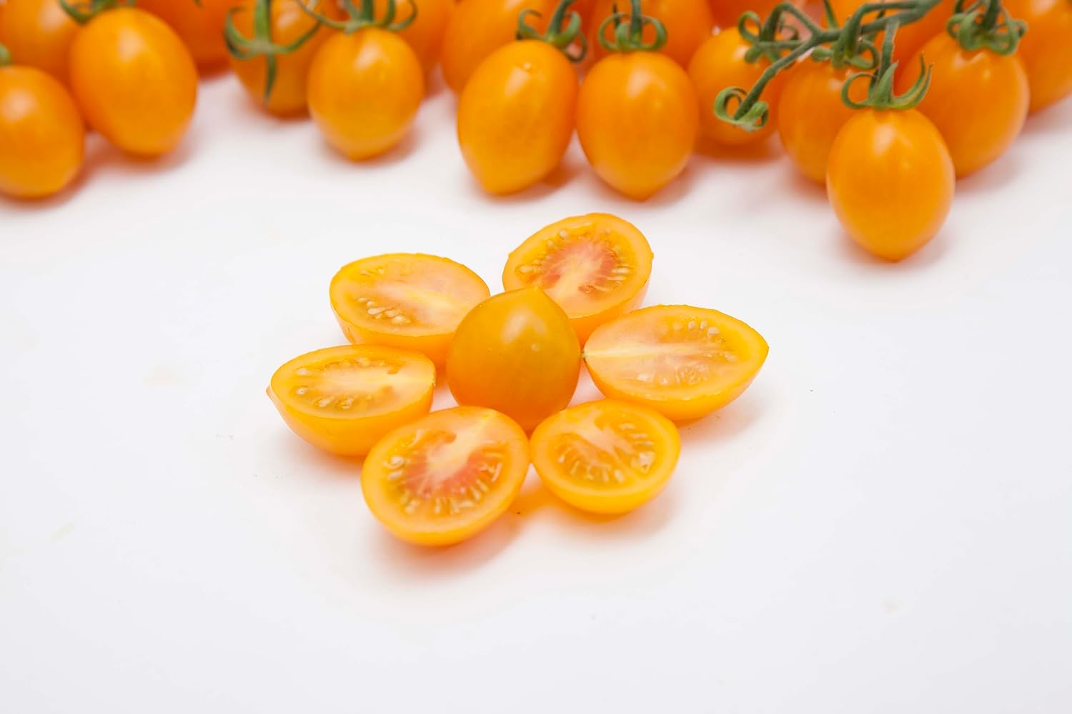 Fresh yellow datterino tomatoes displayed on a white background, with one whole tomato surrounded by halved tomatoes arranged like flower petals, highlighting their juicy and vibrant interior.