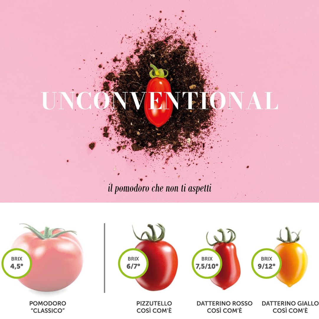 Comparison chart of tomato varieties with sweetness levels (Brix). At the top, a red Datterino tomato sits on soil with the word “Unconventional” and the phrase “il pomodoro che non ti aspetti” (“the tomato you don’t expect”). Below: Classic tomato (Brix 4.5), Così Com’è Pizzutello tomato (Brix 6–7), Così Com’è Red Datterino tomato (Brix 7.5–10), and Così Com’è Yellow Datterino tomato (Brix 9–12).