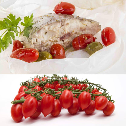 Fresh red Datterino tomatoes on the vine, displayed below a plated dish of baked fish fillet garnished with olives, parsley, and roasted Datterino tomatoes.