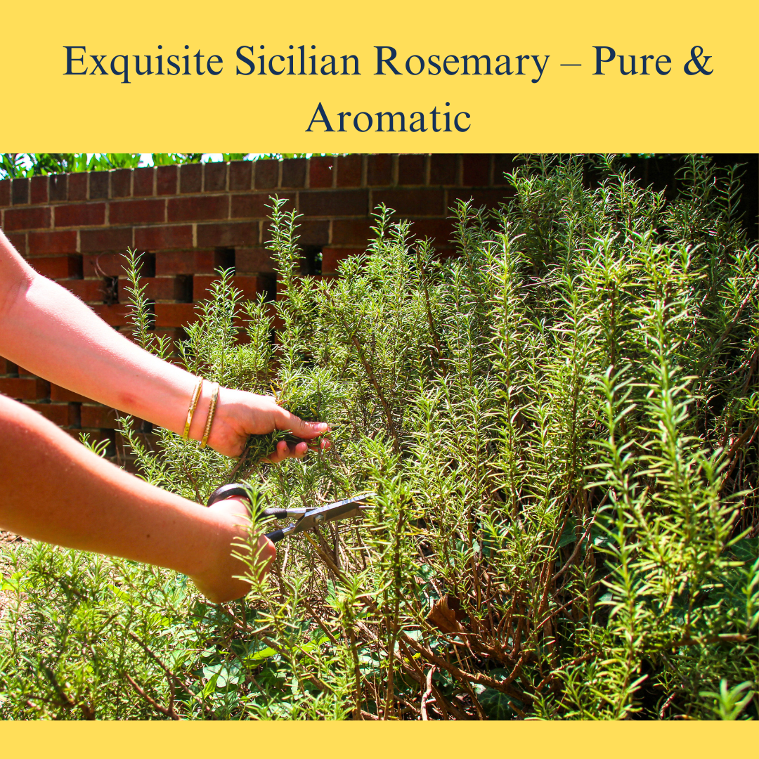 L'Oro Del Sud, Rosemary leaves, Sicilian Rosemary sprigs, , Whole Rosemary Leaf 2.11 oz / (60 g)
