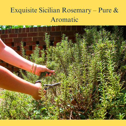 L'Oro Del Sud, Rosemary leaves, Sicilian Rosemary sprigs, , Whole Rosemary Leaf 2.11 oz / (60 g)