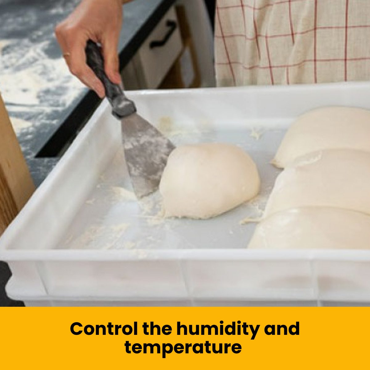 L'Oro Del Sud 5 Dough Proofing Box Tray with 1 Lid, White, 6 Pack, 23.6" x 15.74" x 2.75"