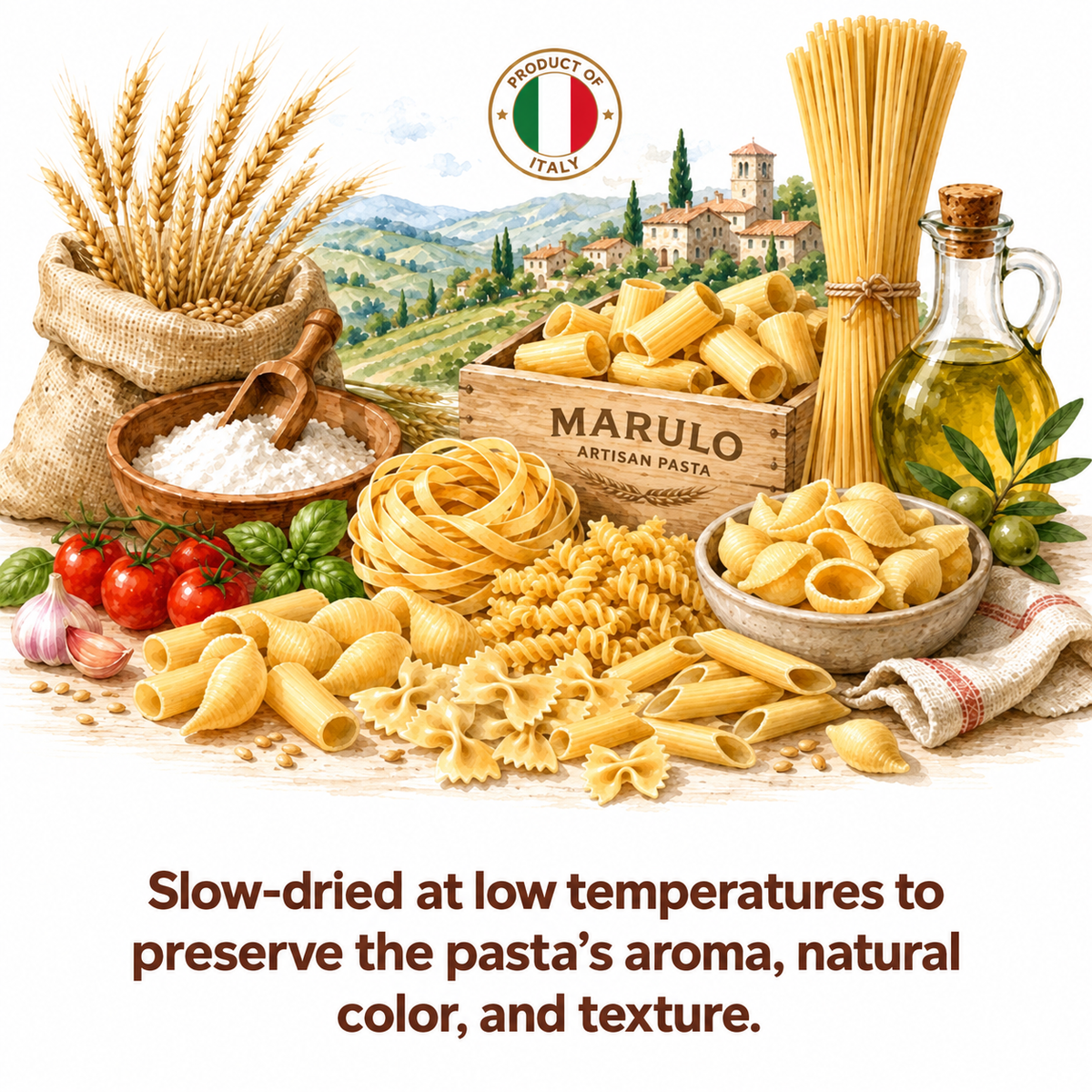 Watercolor of Marulo pasta and Italian wheat representing slow, low-temperature drying.