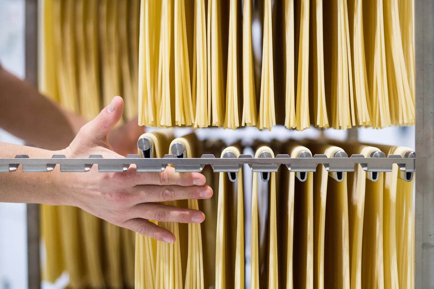 Marulo, Bucatani Pasta, Artisan Bronze Die-Cut Pasta, 12 Pack