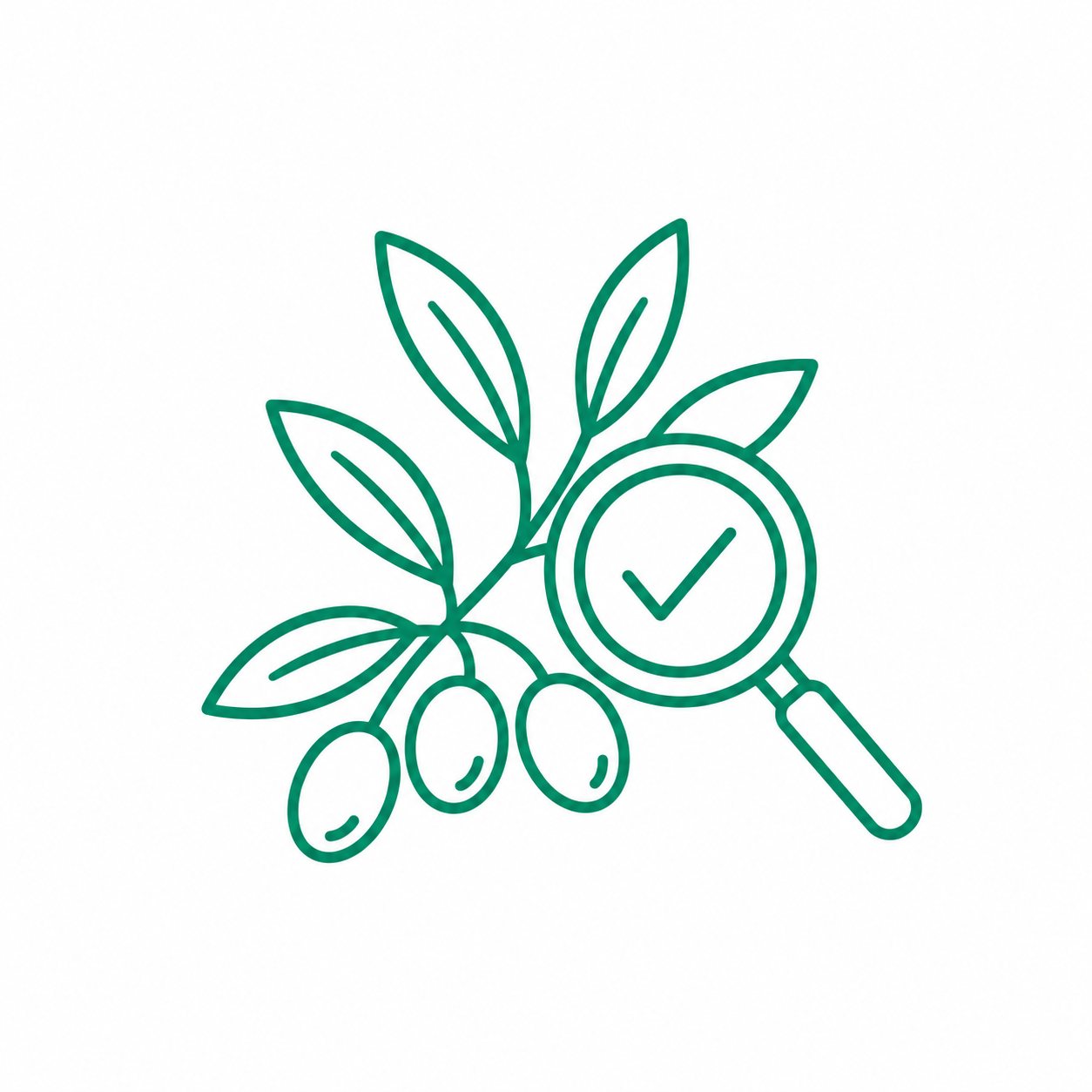Carefully selected olives for Basso oil blends icon.