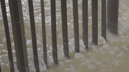 Fresh Grated Genuine Fulvi® Pecorino Romano DOP