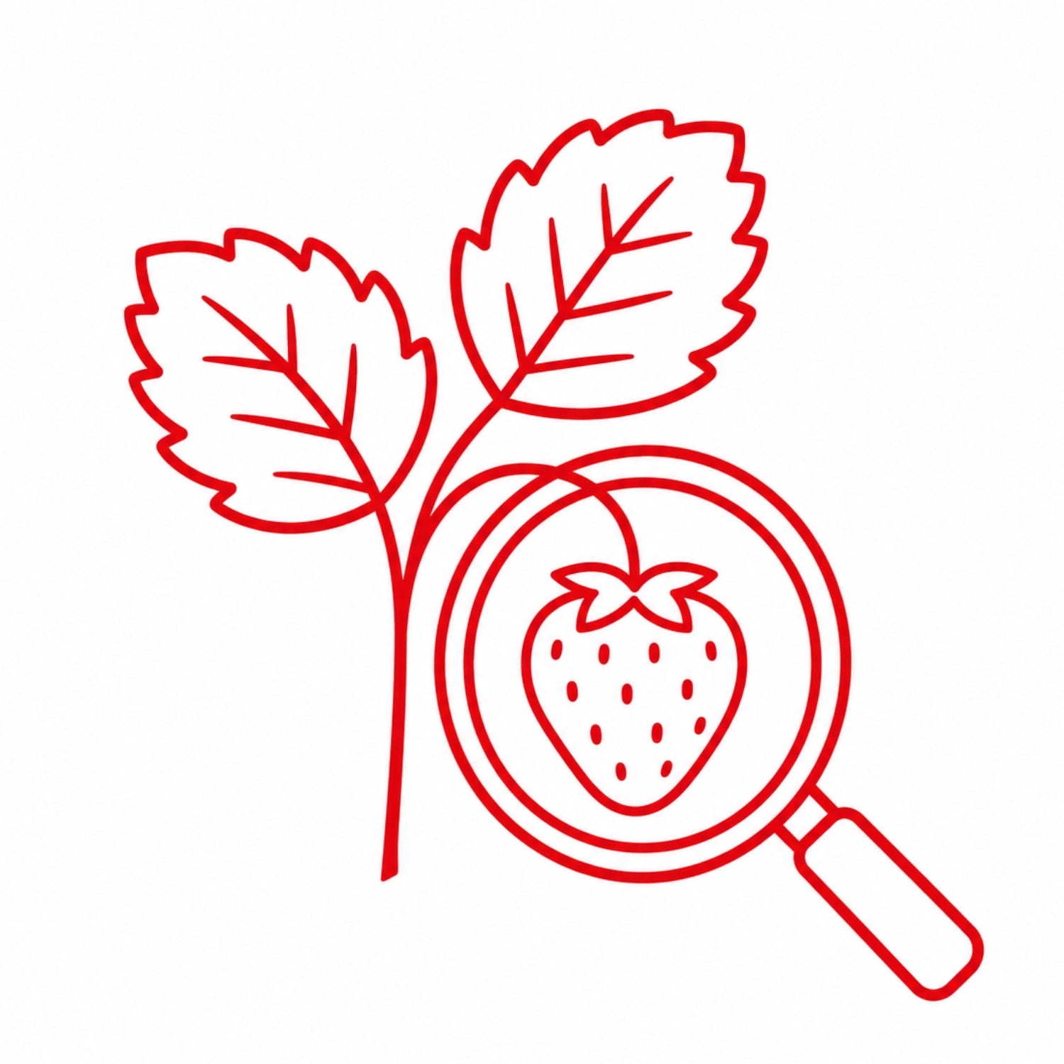Mazzoni fruit research icon with strawberry plant and magnifying glass