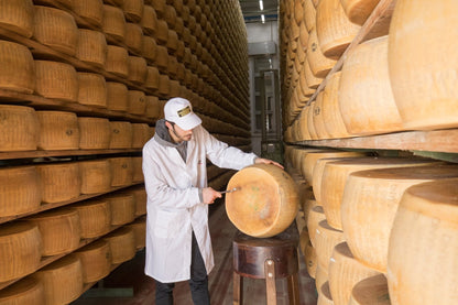 Parmigiano Reggiano DOP Mitica® Di Sola Bruna