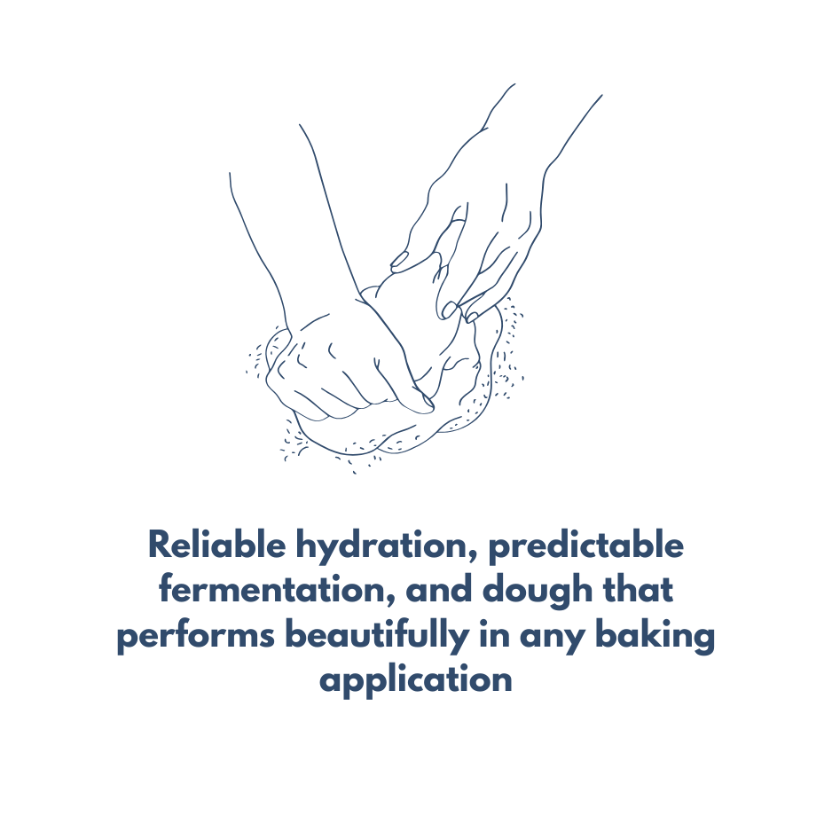 Icon representing Polselli flour’s reliable hydration, predictable fermentation, and smooth dough performance