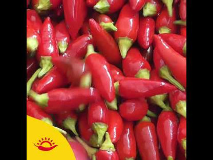 TuttoCalabria Whole Hot Chili Peppers, 33.5 oz