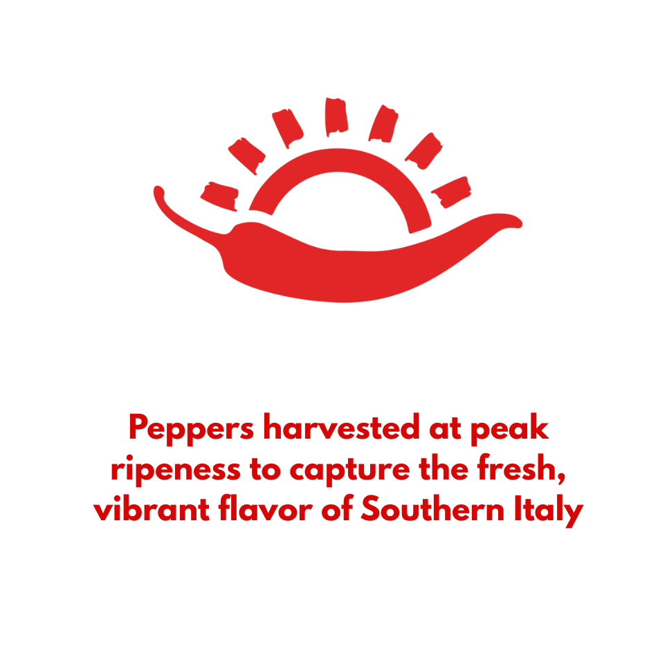 Icon of a Calabrian pepper symbolizing peppers harvested at peak ripeness in Southern Italy.