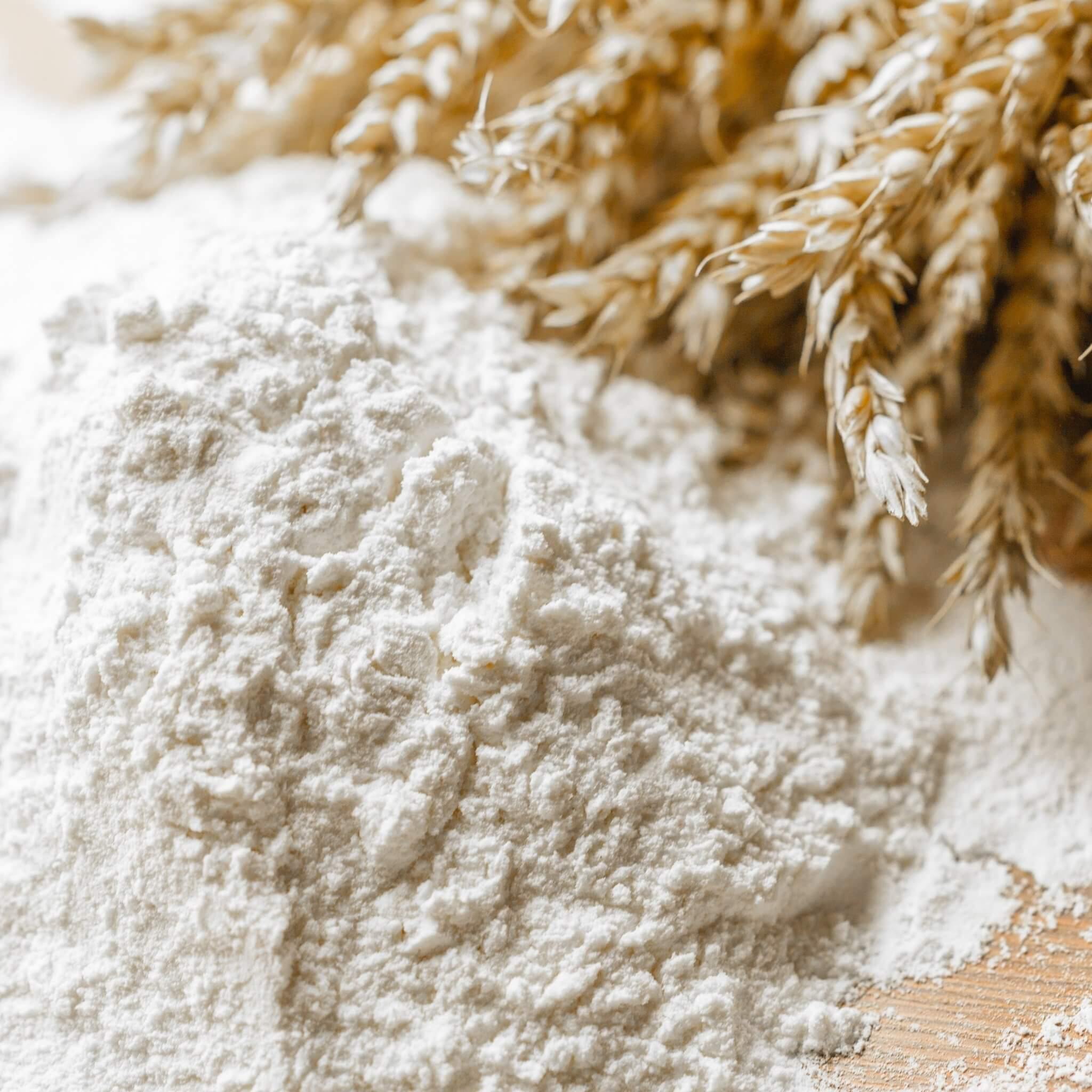 Polselli: Gluten-Free Flour 2.2lb. Bag - Wholesale Italian Food