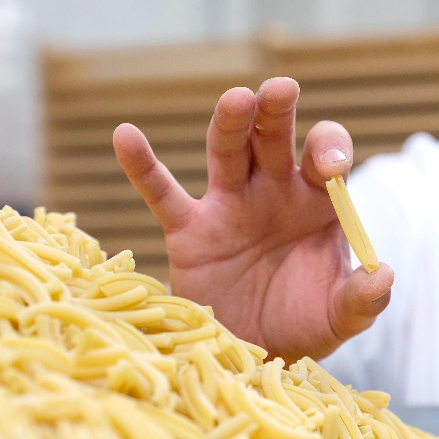 Casarecce Italian Pasta | Gourmet Italian Pasta | homemade Italian Pasta Recipe | Bucatini | Tagliatelle | Strozzapreti  | Italian Recipe | Artisan Pasta